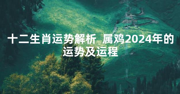 十二生肖运势解析  属鸡2024年的运势及运程